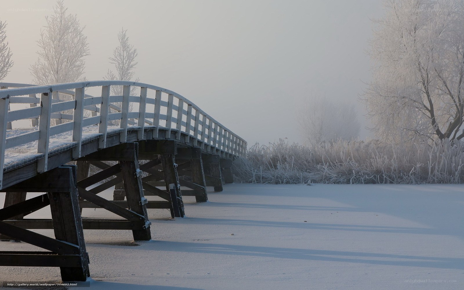 Frosty bridge in winter mist