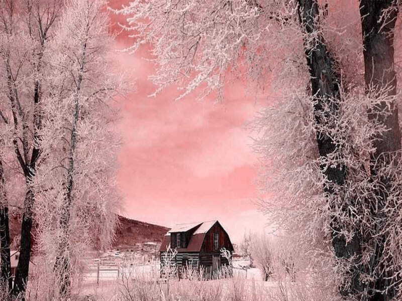 frosty cabin in pink landscape