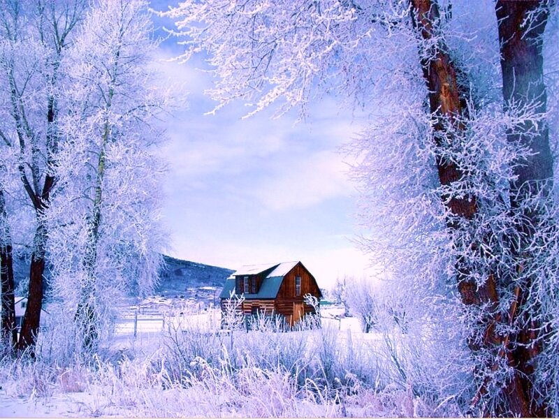 Frosty cabin in winter forest