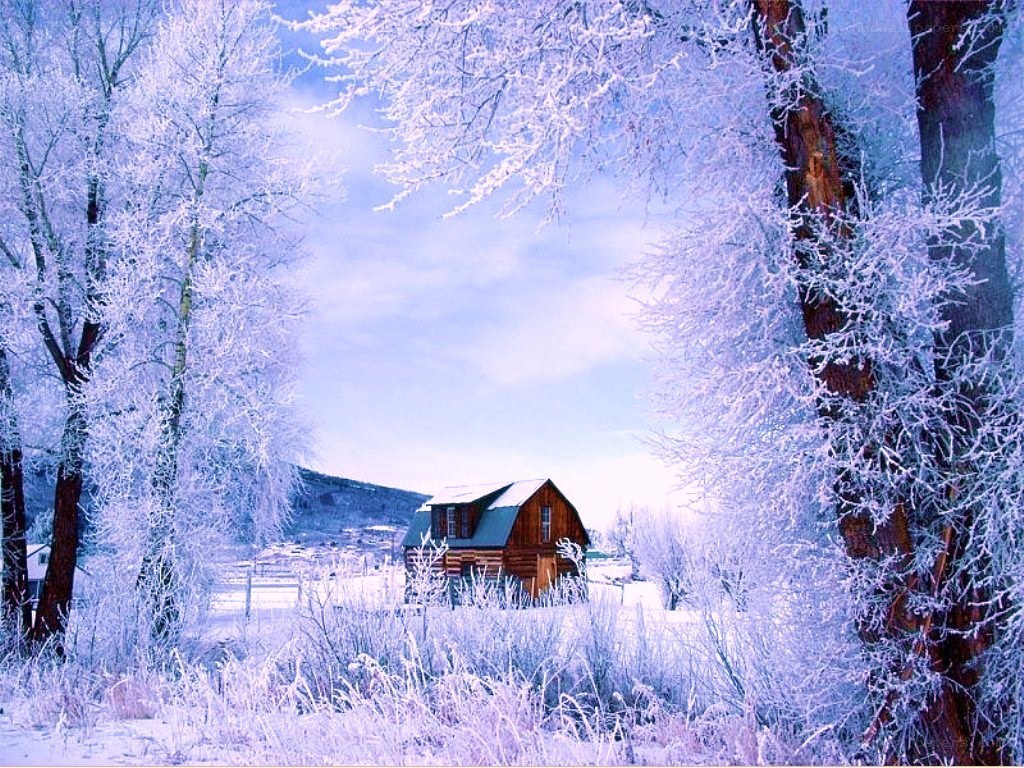 Frosty cabin in winter forest