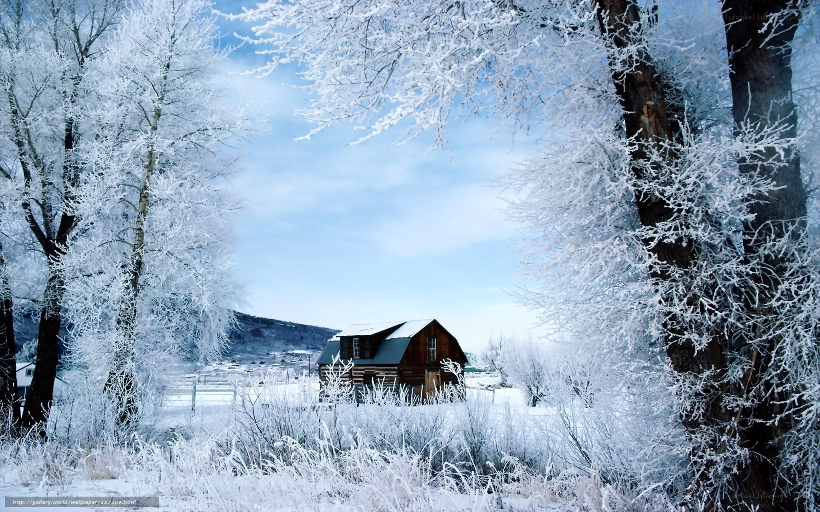 Frosty cabin in winter landscape