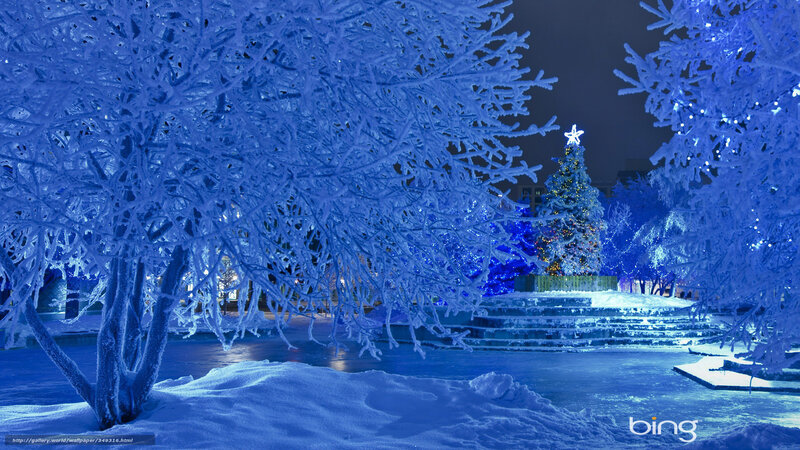 Frosty Christmas Night Scene