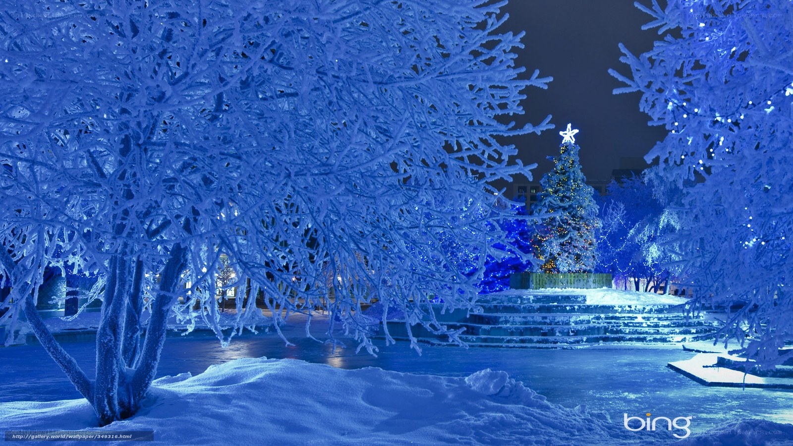 Frosty Christmas Night Scene