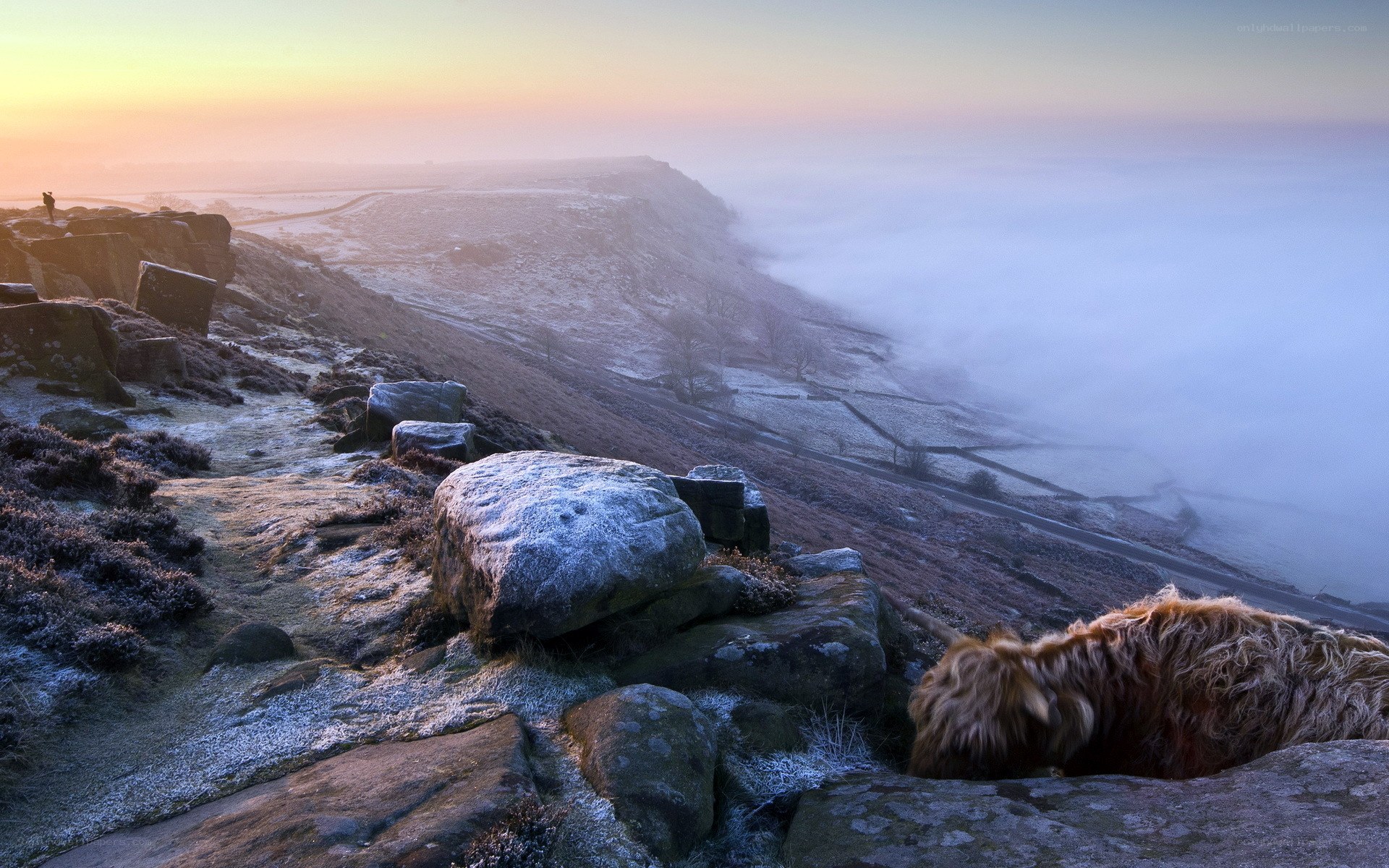 Frosty cliff at sunrise