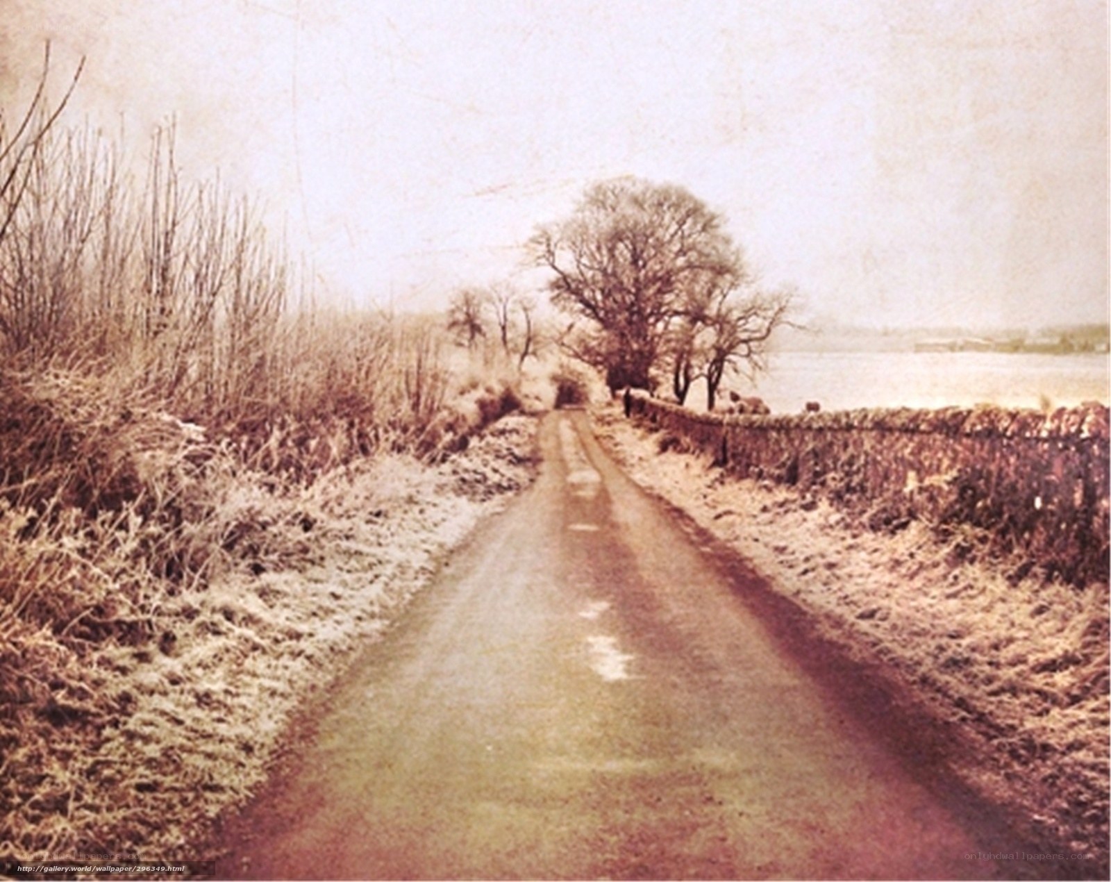 frosty country road