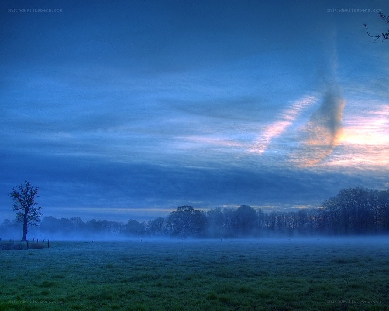 Frosty dawn over a misty field