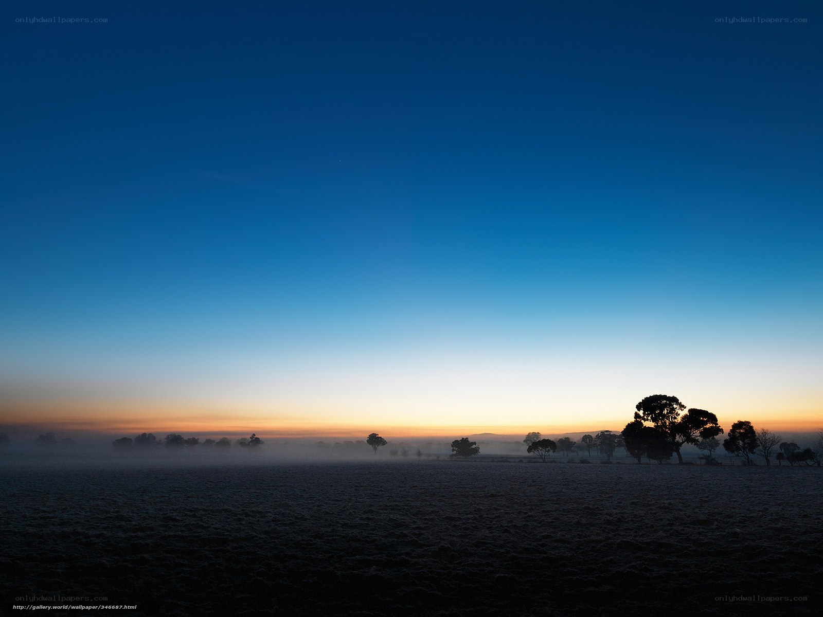Frosty dawn over a misty field