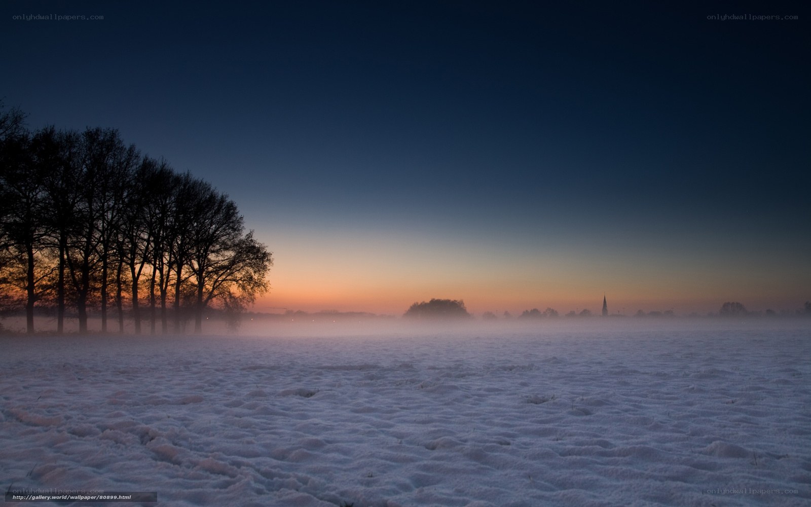 Frosty dawn over a snowy field