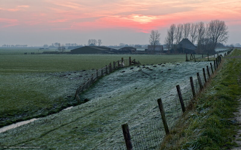 Frosty dawn over Dutch farmland