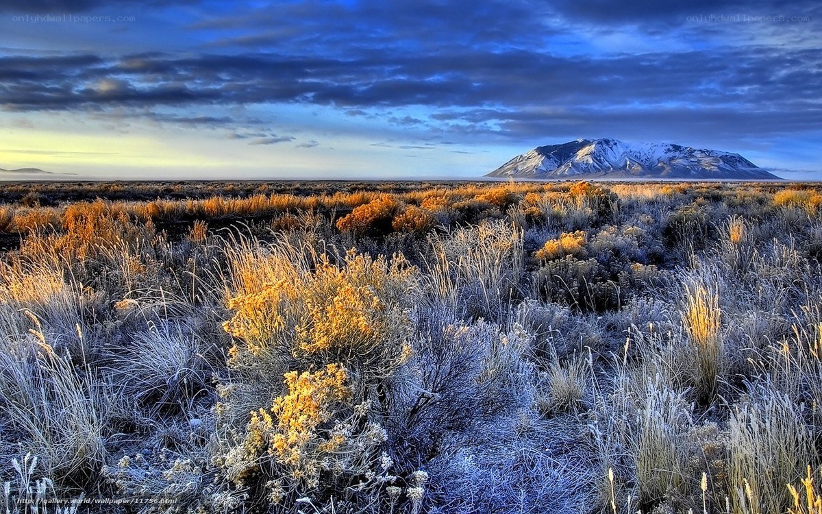 Frosty desert landscape at dawn