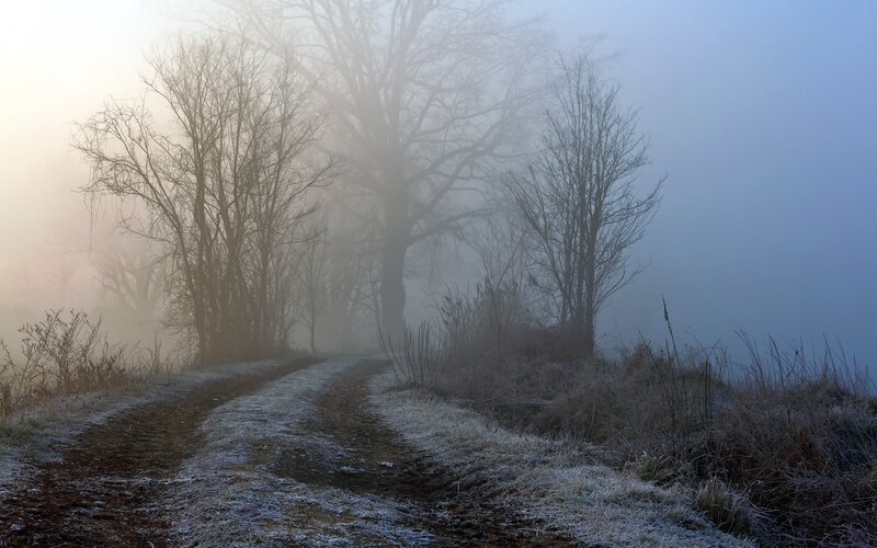 Frosty Dirt Path