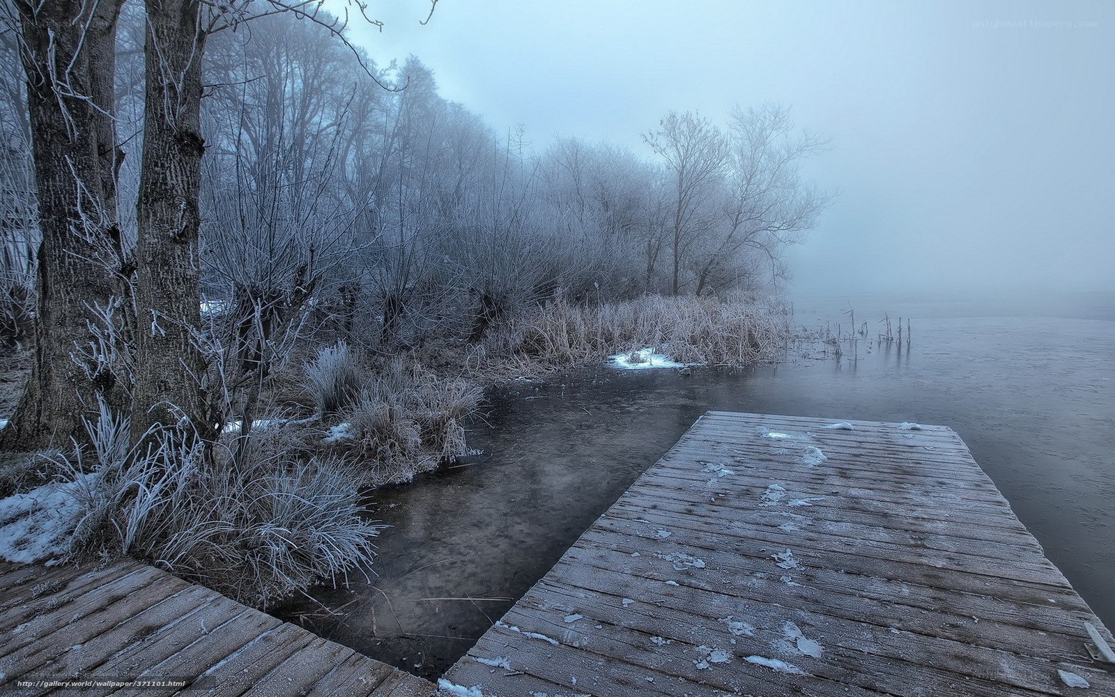 Frosty dock on a foggy lake