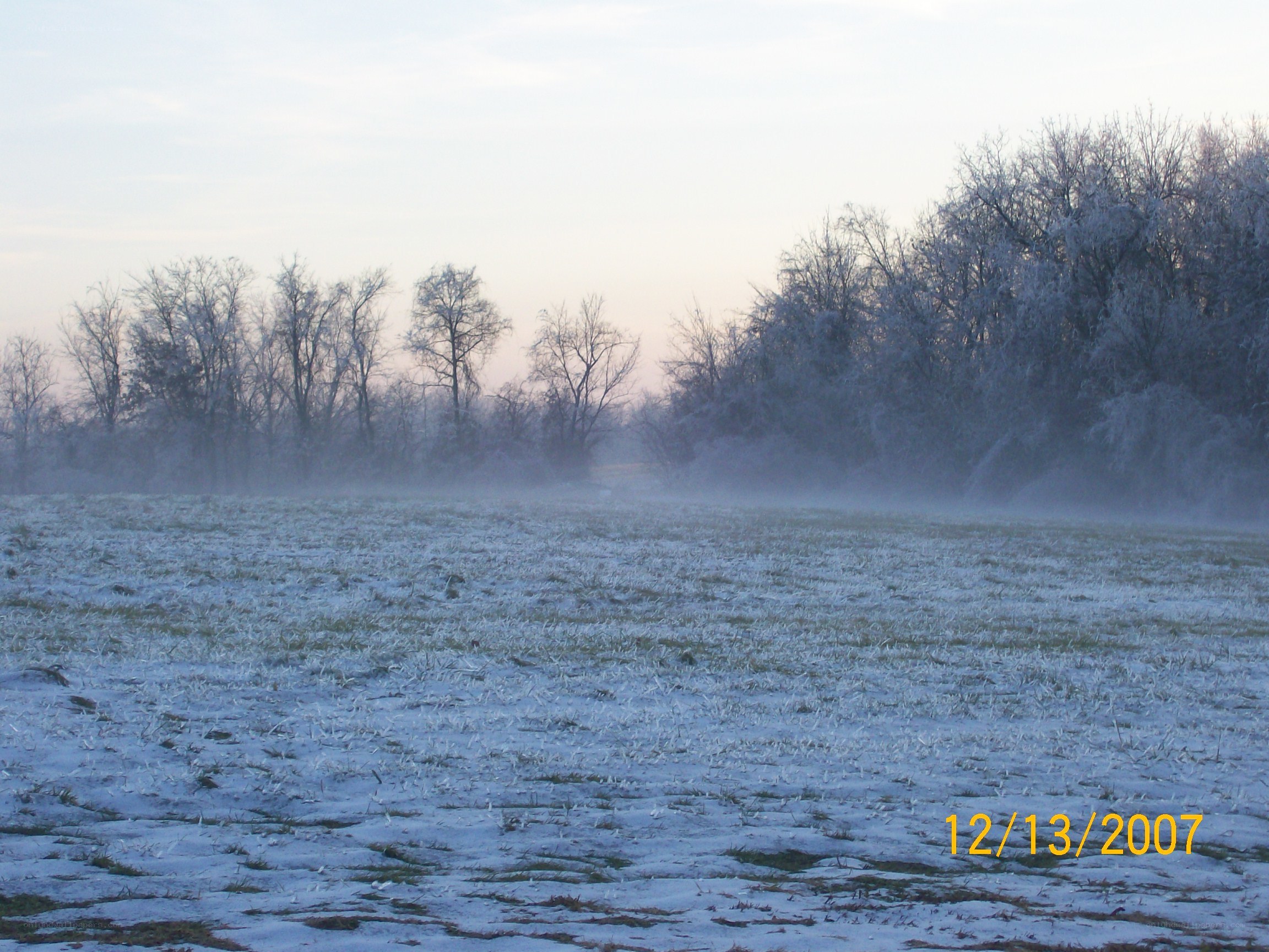 Frosty field at dawn