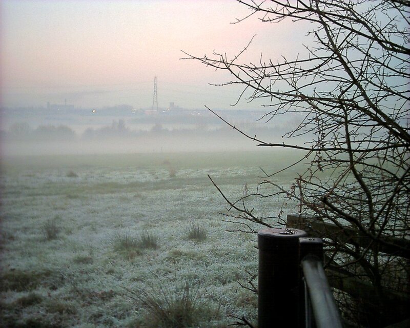 Frosty field at dawn