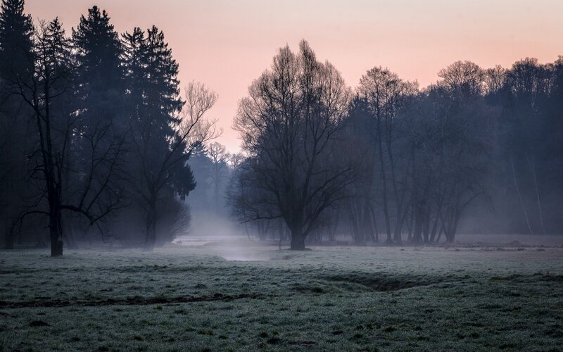 Frosty Field at Dawn — Pink