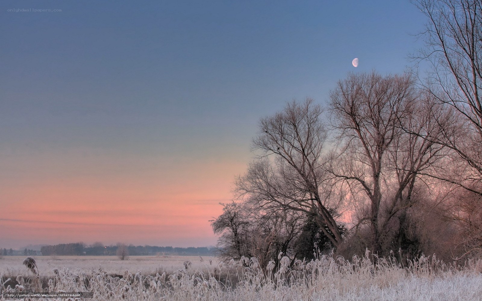 Frosty field at dawn with moon