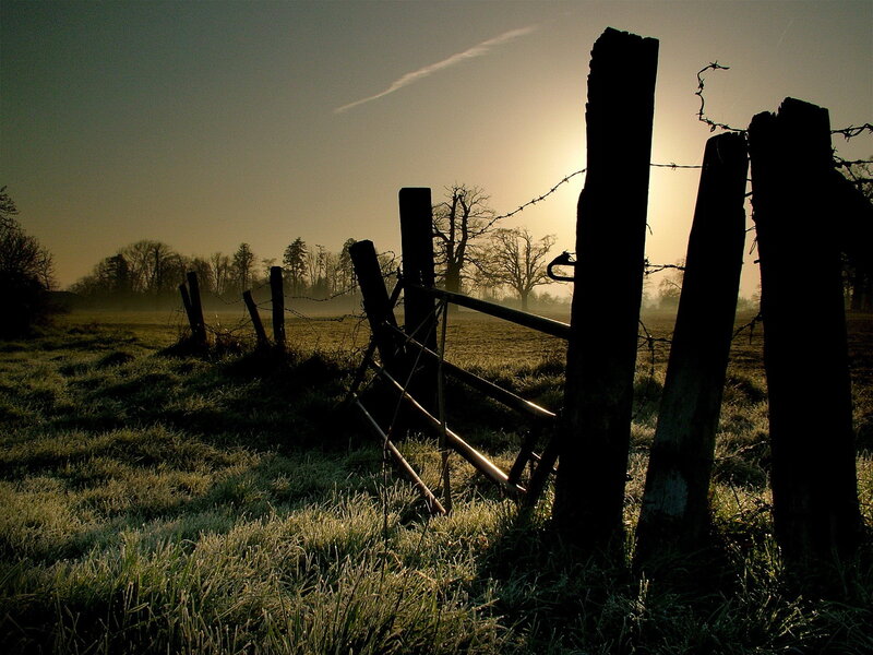 Frosty field at sunrise