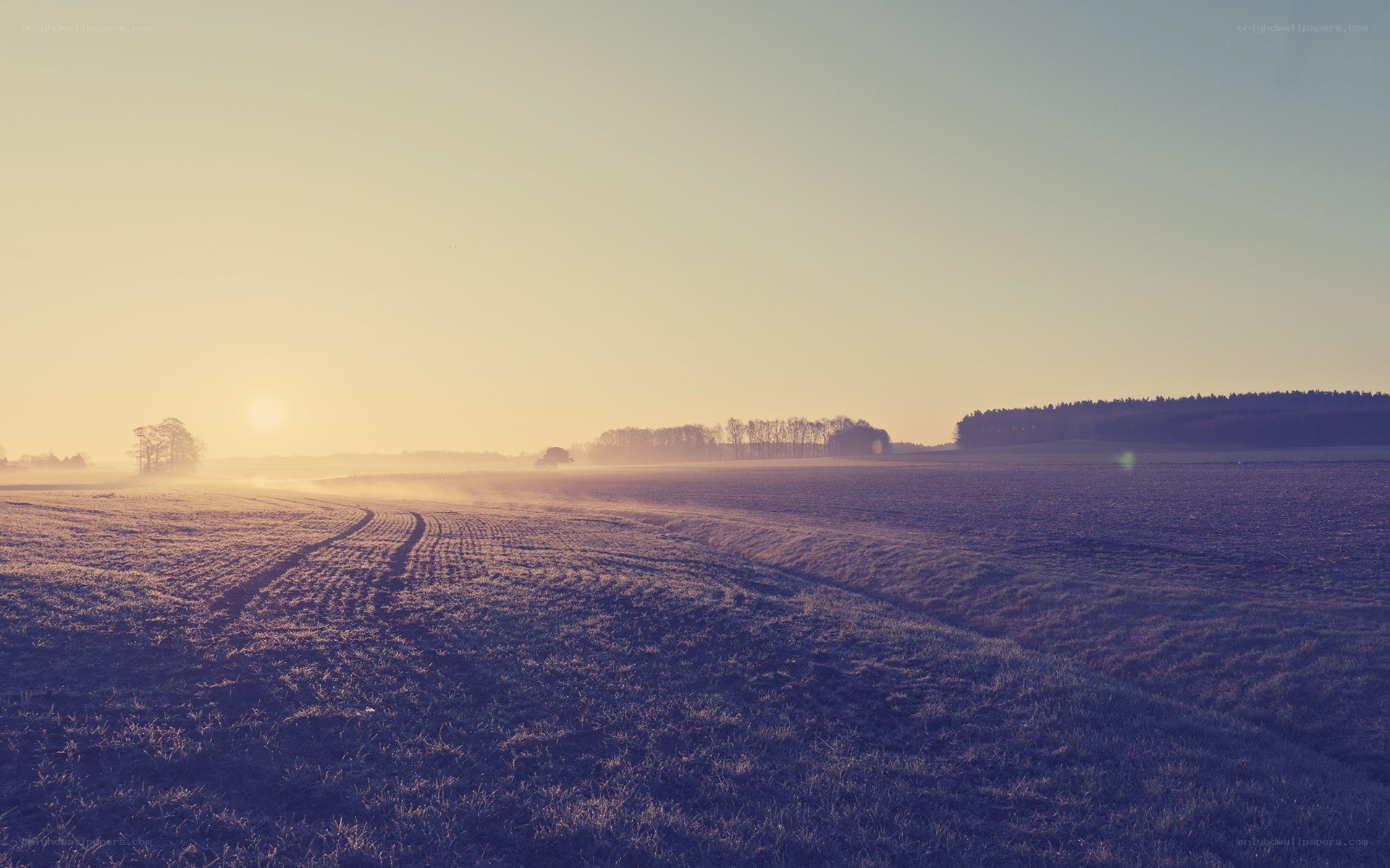 Frosty field at sunrise