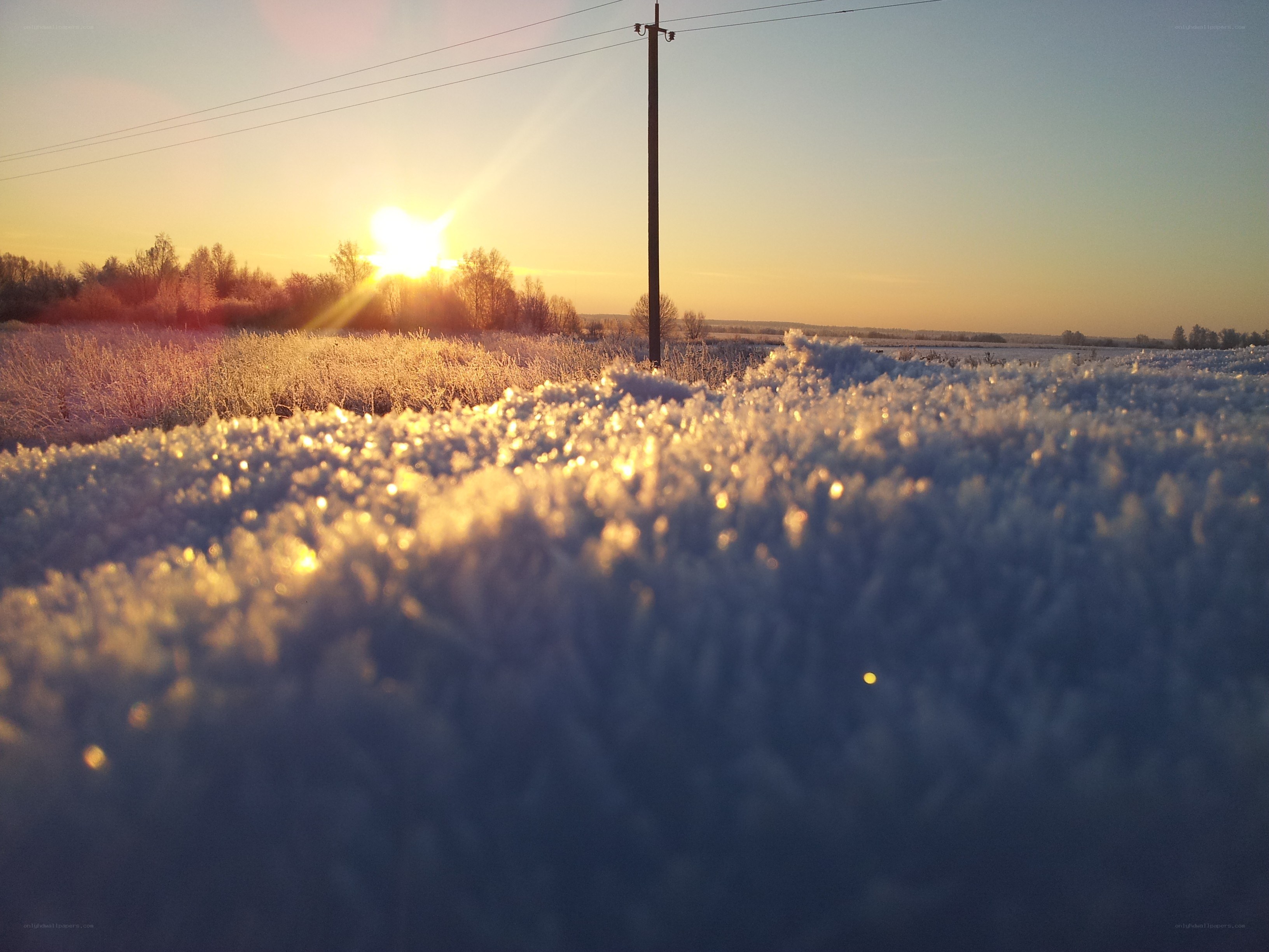 Frosty field at sunrise
