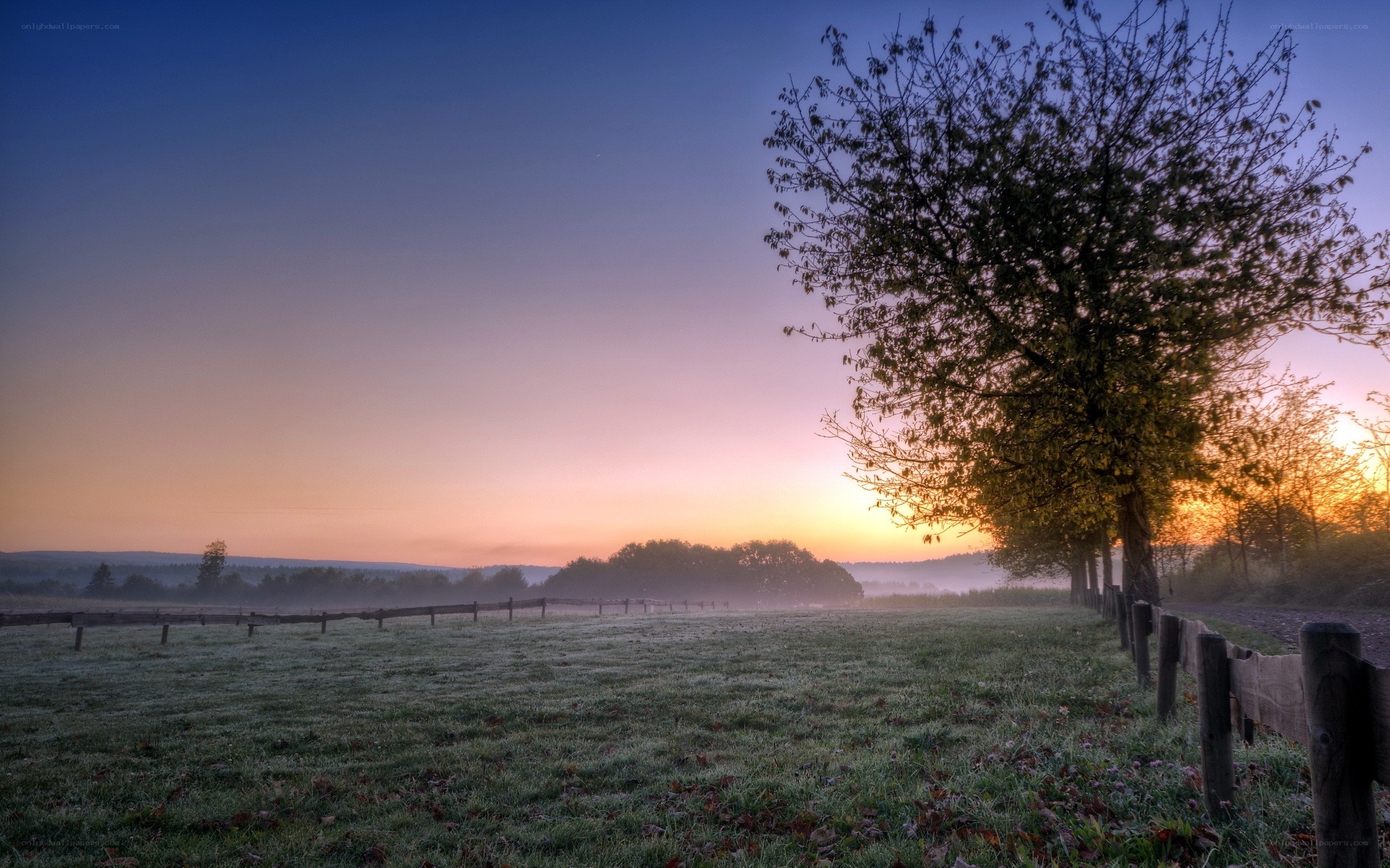 Frosty field at sunrise