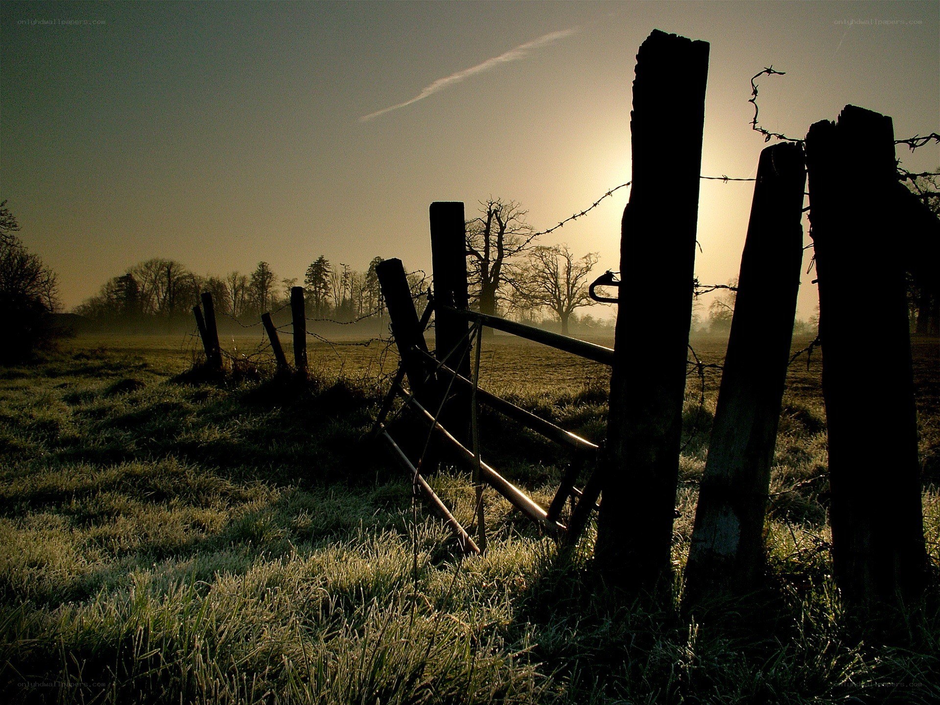 frosty field at sunrise