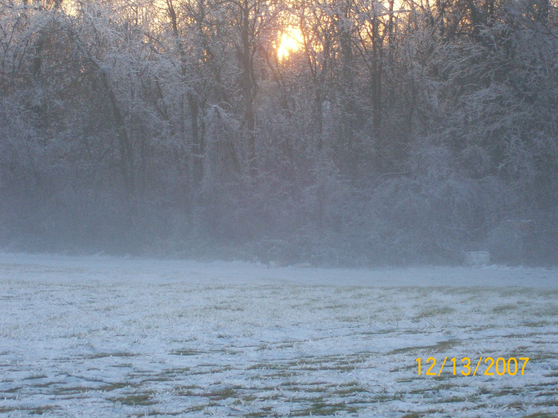 frosty field at sunrise