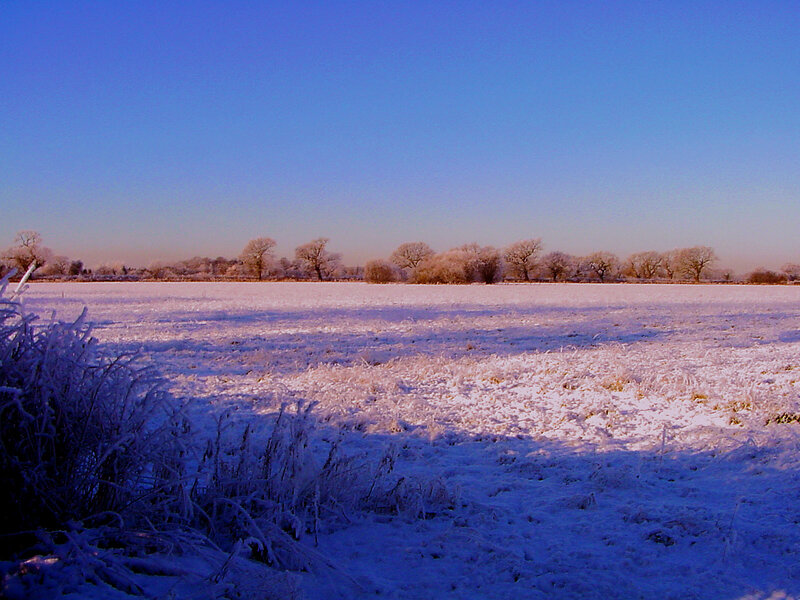 frosty field at sunrise