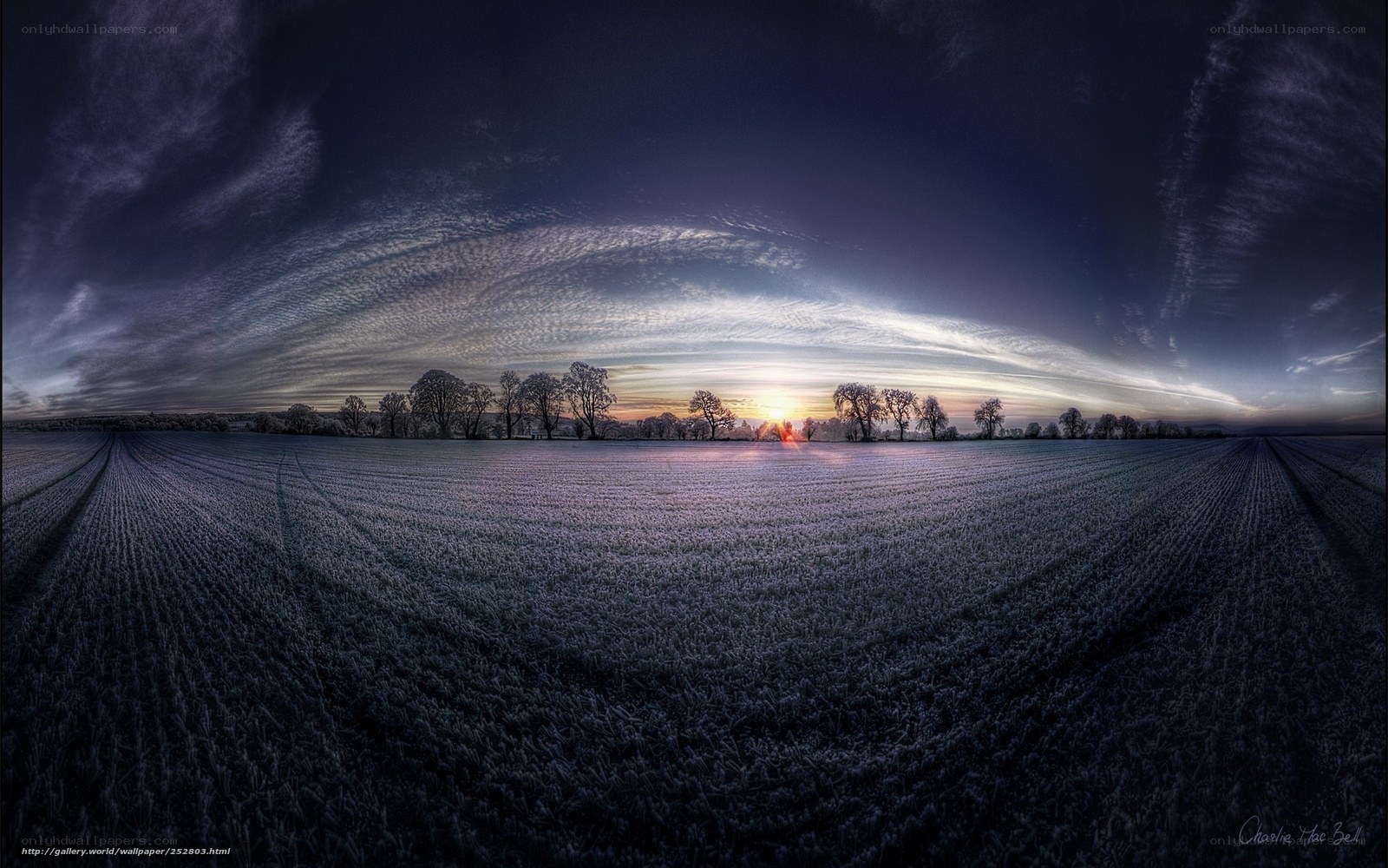 Frosty field at sunrise