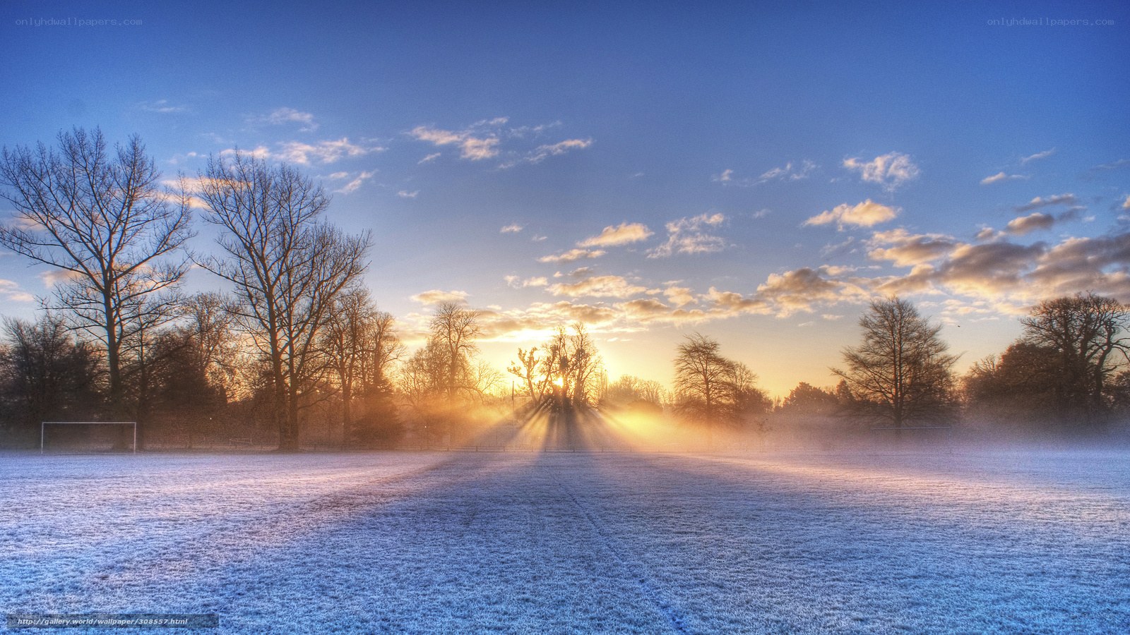 Frosty field at sunrise