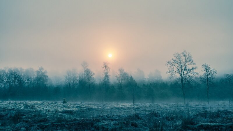 Frosty Field at Sunrise — Blue, Misty, Serene