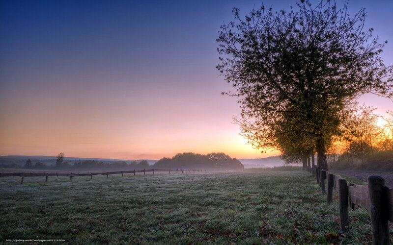 Frosty Field at Sunrise — Blue, Serene, Photograph, Tree, Fence