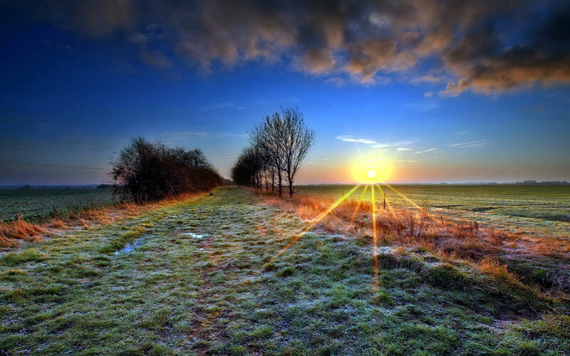 Frosty Field at Sunrise — Blue, Serene