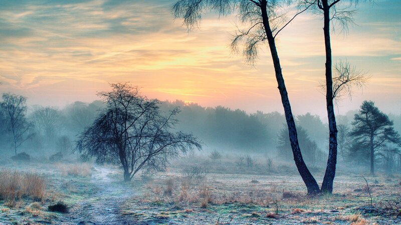 Frosty Field at Sunrise — Blue