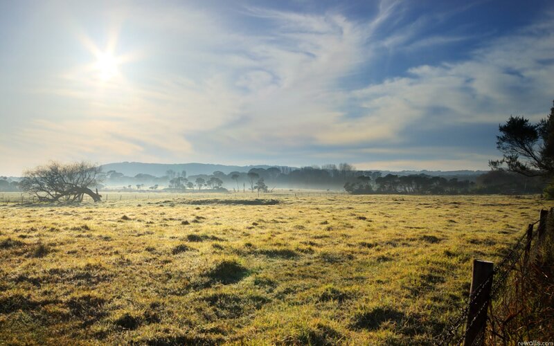 Frosty Field at Sunrise — Green, Serene