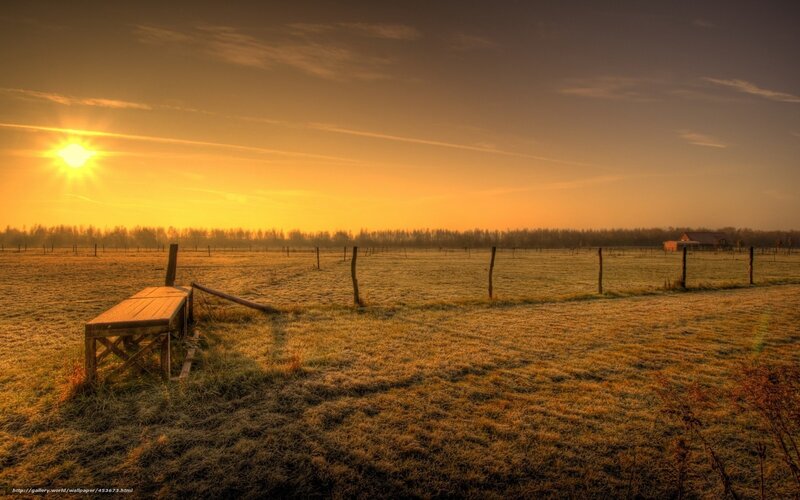 Frosty Field at Sunrise — Orange, Serene, Photograph, Sun