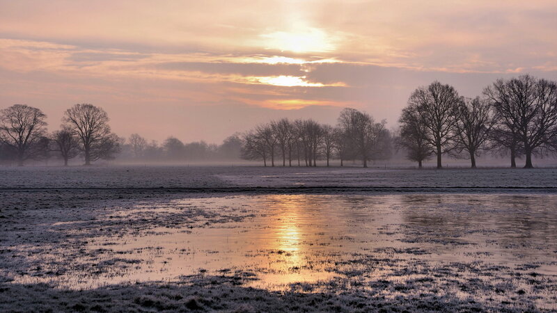 Frosty Field at Sunrise — Orange, Serene