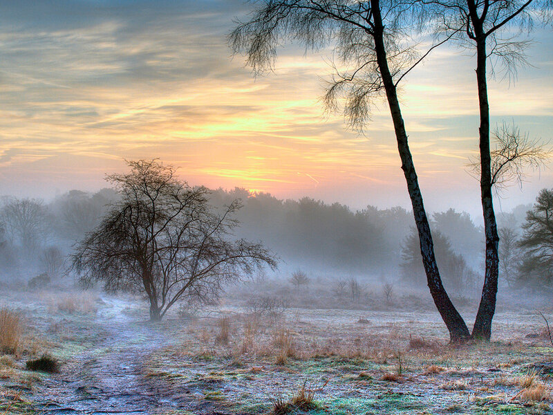 Frosty Field at Sunrise — Orange