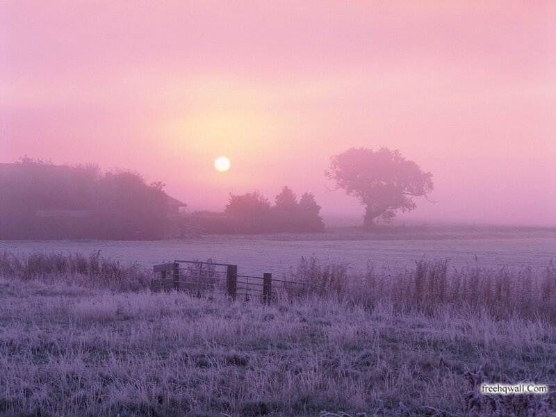 Frosty Field at Sunrise — Pink