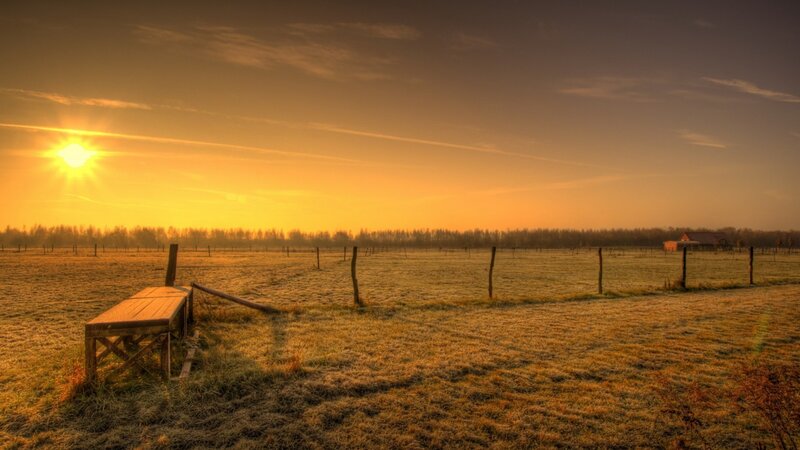 Frosty Field at Sunrise — Yellow, Serene, Photograph