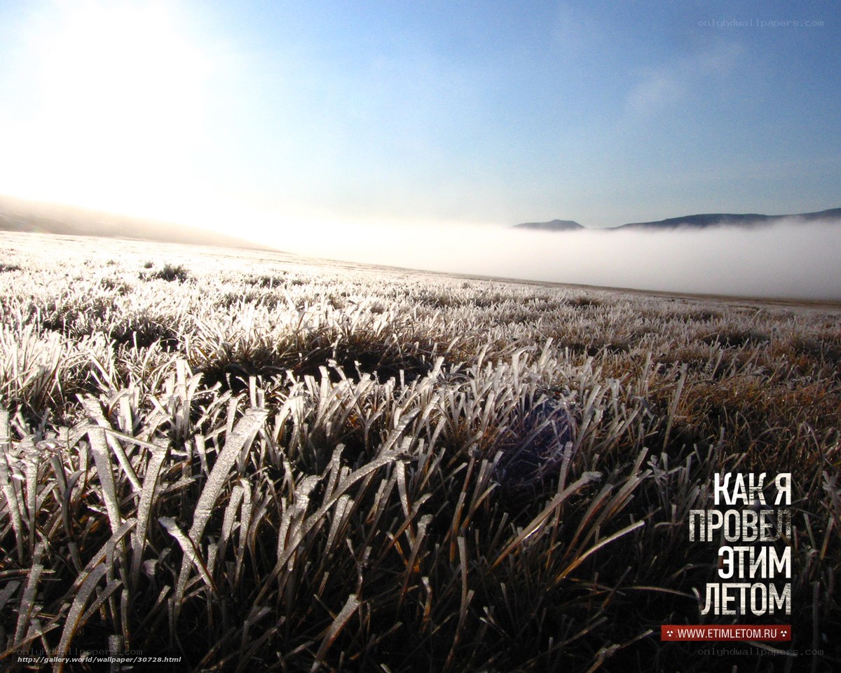 Frosty field at sunrise
