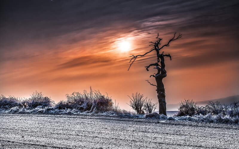 Frosty field at sunset