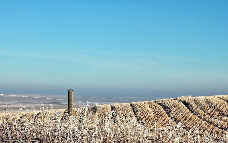 Frosty field under clear sky