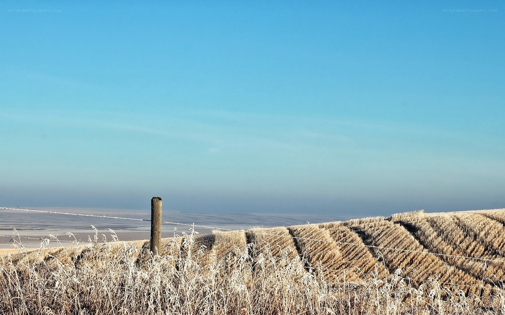 Frosty field under clear sky
