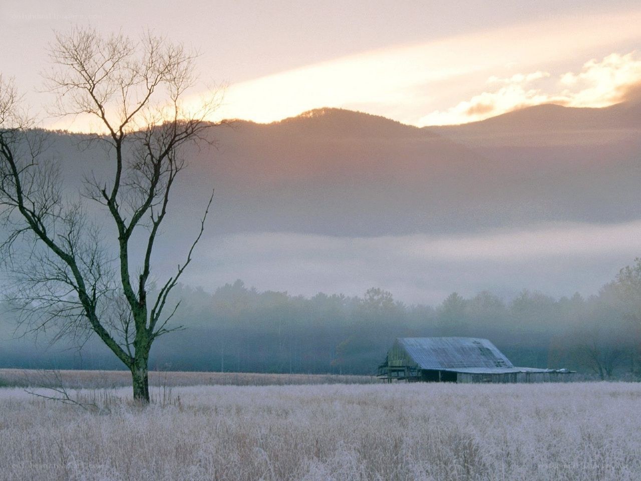 Frosty field with barn at dawn