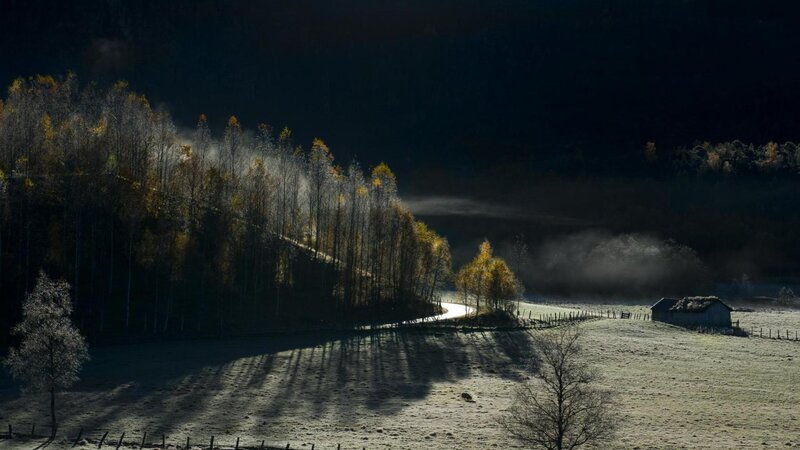 Frosty Field with Cabin