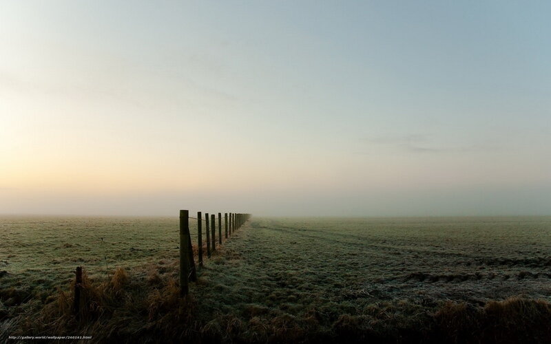 Frosty Field with Fence — Green