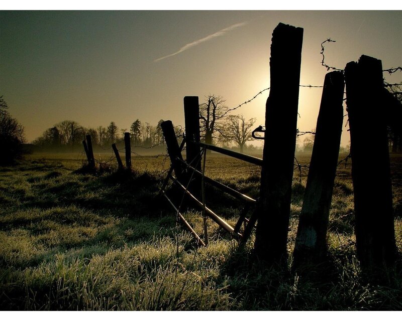Frosty Field with Fence