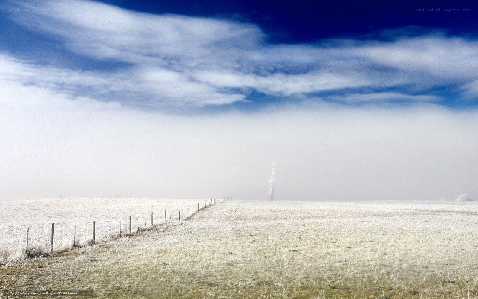 Frosty field with fog and blue sky