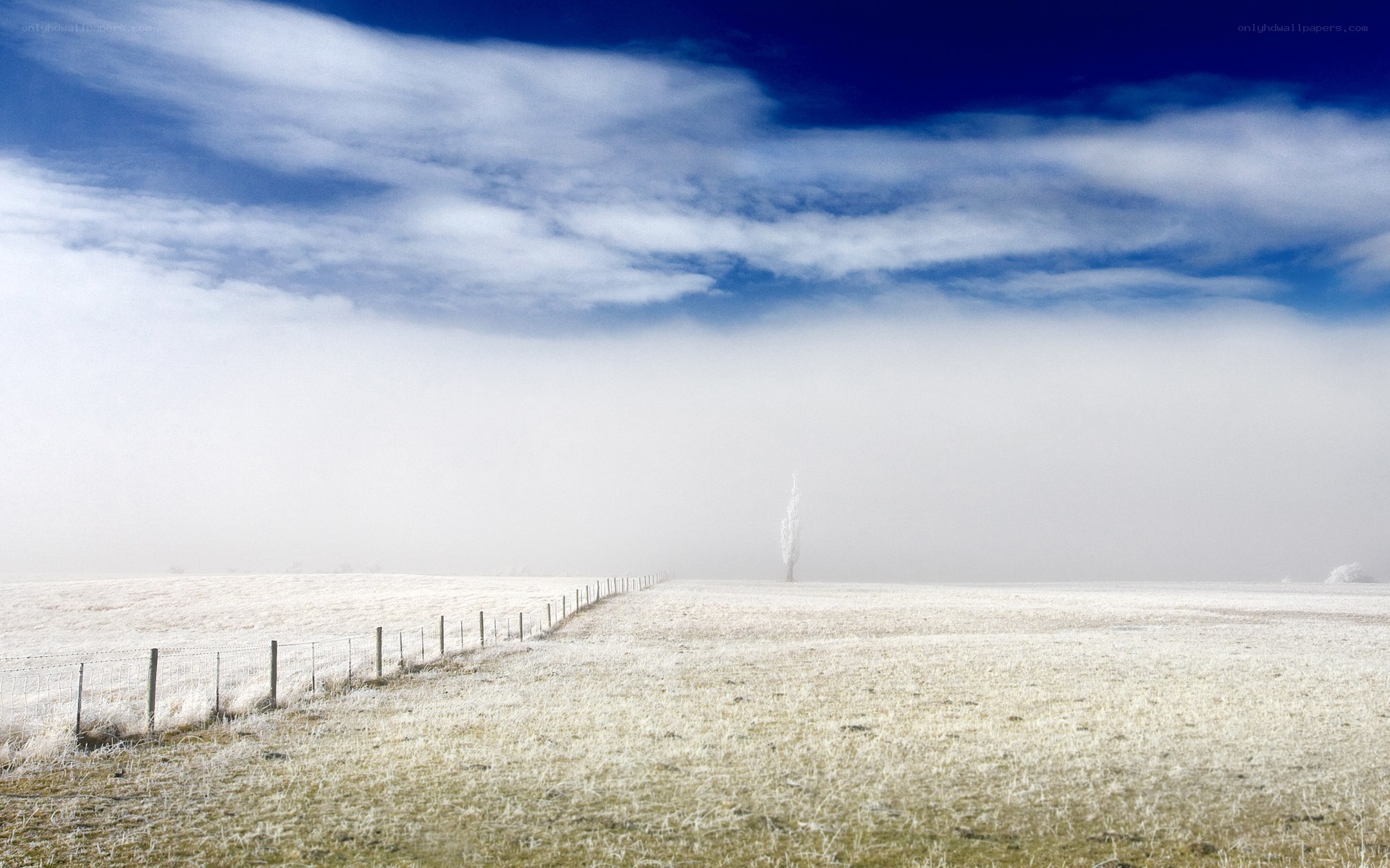 Frosty field with fog