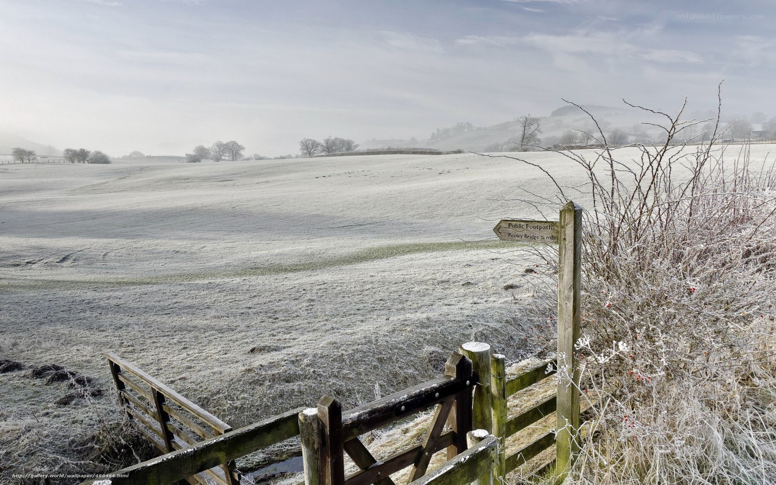 Frosty field with footpath sign